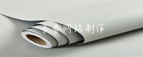 長春網(wǎng)站制作